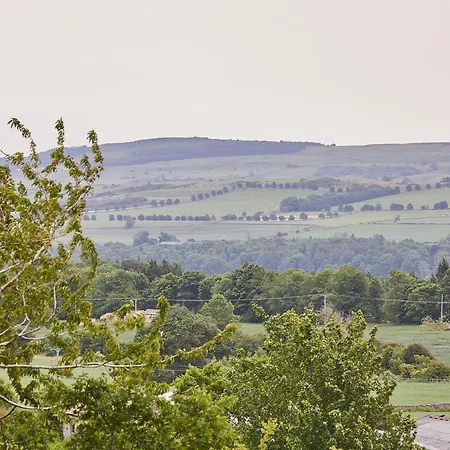 Host & - Sunshine * Redmire