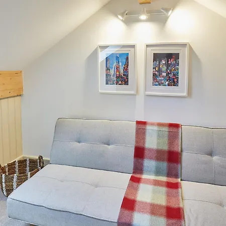 Host & - Sunshine * 雷德迈尔